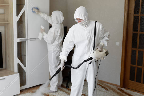 Best Professional Mold Removal  in Richland, GA