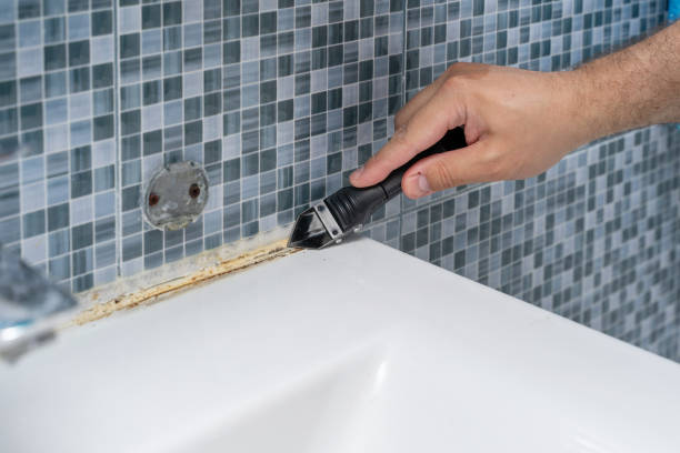Best Best Mold Removal Companies  in Richland, GA