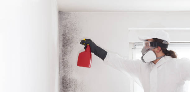 Best Mold Testing  in Richland, GA
