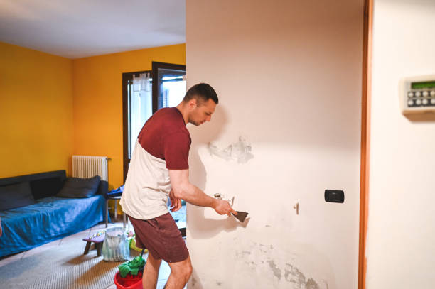 Best Local Mold Removal Service  in Richland, GA