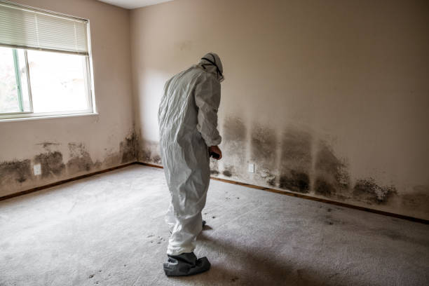 Best Mold Removal Process  in Richland, GA